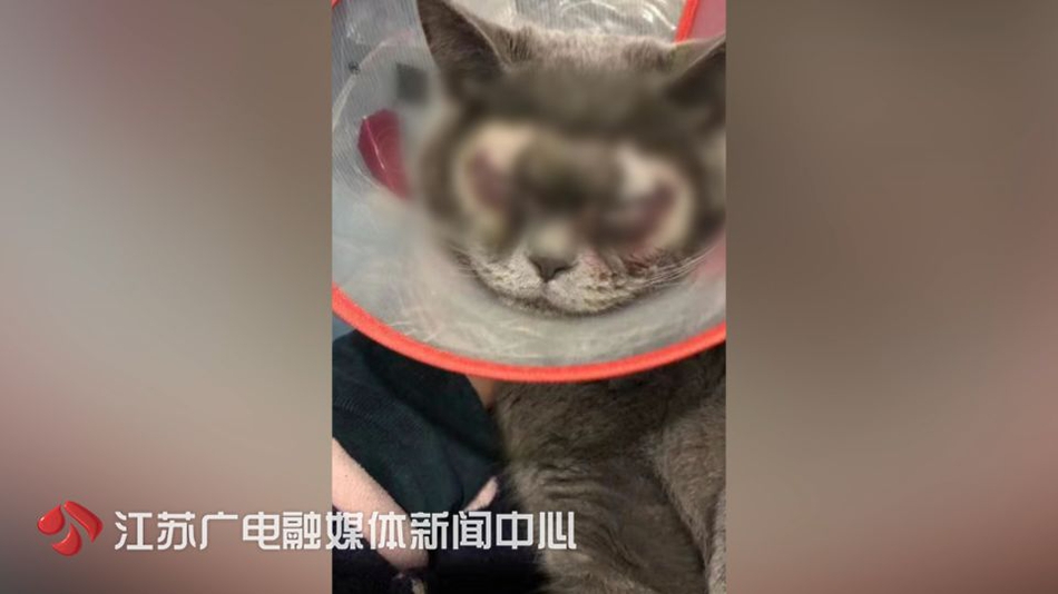 [鼎盛平台app下载]