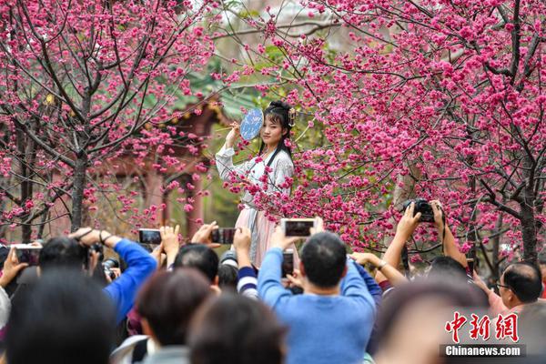 共性有什么特色内容